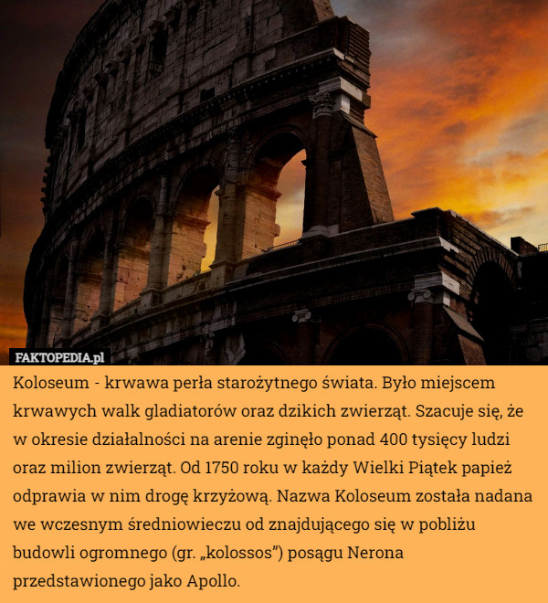 Koloseum - krwawa perła starożytnego świata. Było miejscem krwawych walk...