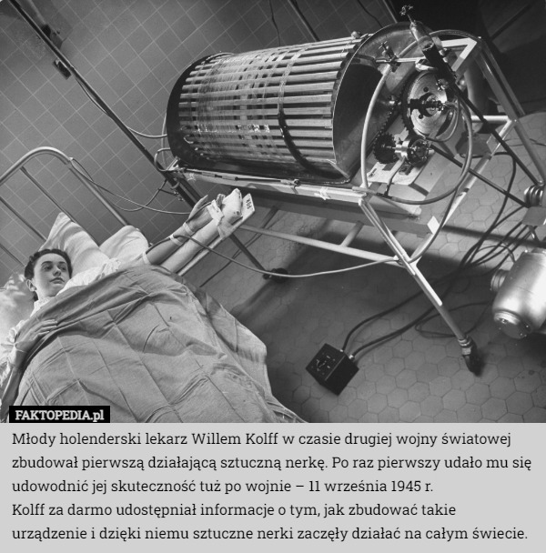 Młody holenderski lekarz Willem Kolff w czasie drugiej wojny światowej zbudował...