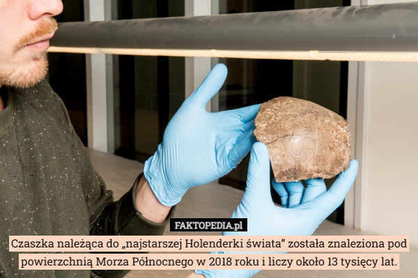 Czaszka należąca do „najstarszej Holenderki świata” została znaleziona pod...