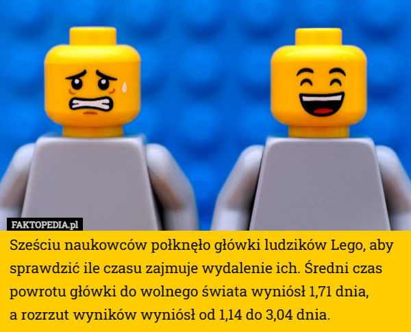 Sześciu naukowców połknęło główki ludzików Lego, aby sprawdzić ile czasu...