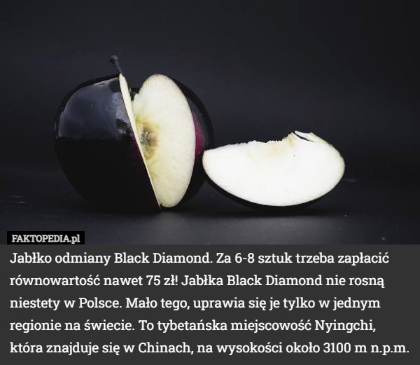 Jabłko odmiany Black Diamond. Za 6-8 sztuk trzeba zapłacić równowartość...