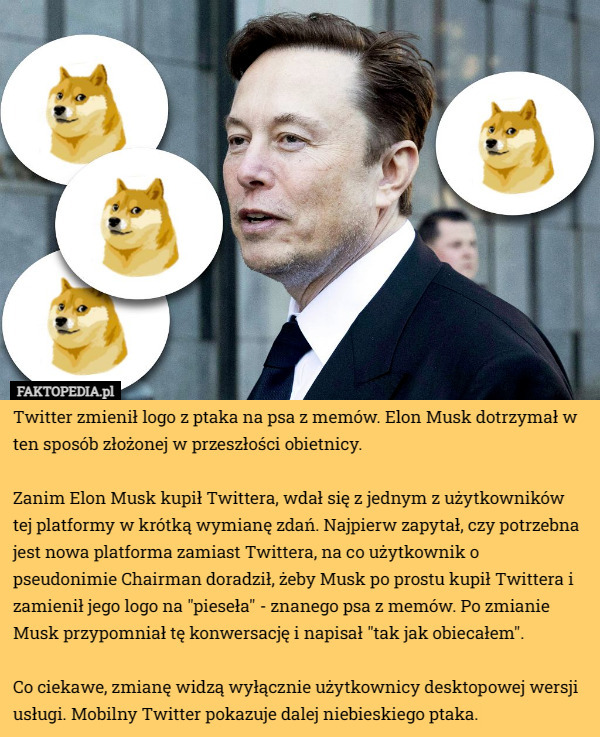 Twitter zmienił logo z ptaka na psa z memów. Elon Musk dotrzymał w ten sposób...