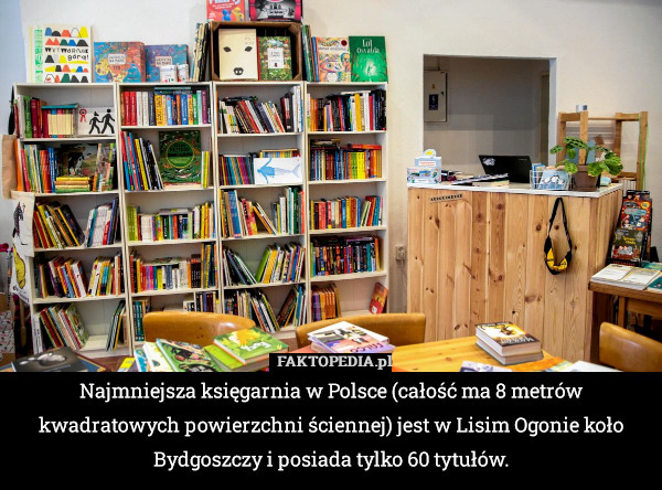 Najmniejsza księgarnia w Polsce (całość ma 8 metrów kwadratowych powierzchni