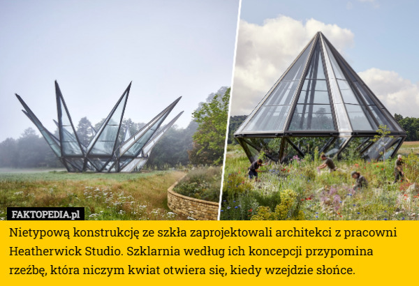 Nietypową konstrukcję ze szkła zaprojektowali architekci z pracowni Heatherwick...
