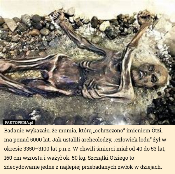 Badanie wykazało, że mumia, którą „ochrzczono” imieniem Ötzi, ma ponad 5000...