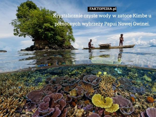 Krystalicznie czyste wody w zatoce Kimbe u północnych wybrzeży Papui Nowej
