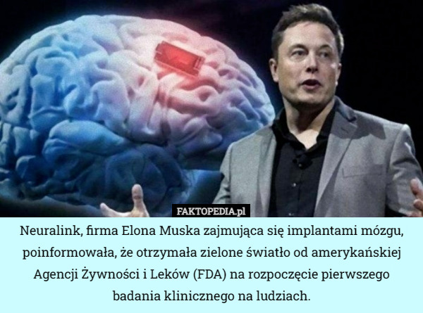 Neuralink, firma Elona Muska zajmująca się implantami mózgu, poinformowała...