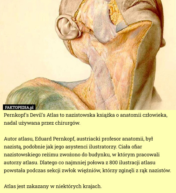 Pernkopf's Devil's Atlas to nazistowska książka o anatomii człowieka...