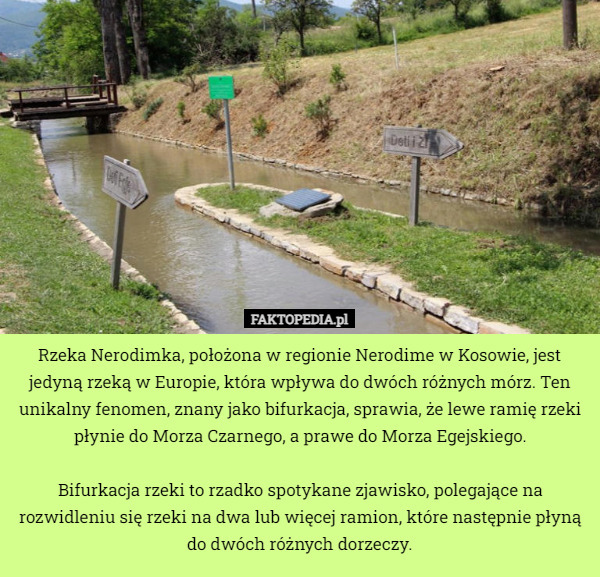 Rzeka Nerodimka, położona w regionie Nerodime w Kosowie, jest jedyną rzeką