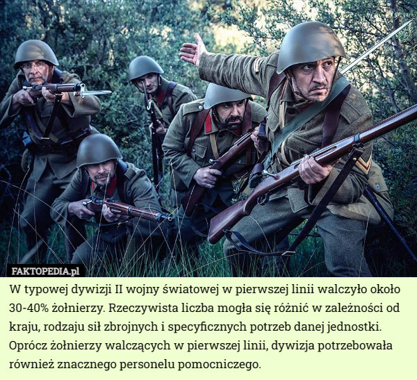 W typowej dywizji II wojny światowej w pierwszej linii walczyło około 30-40%...